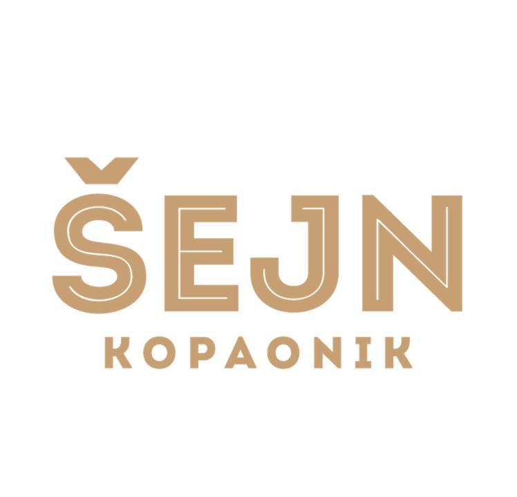 Guesthouse Sejn Копаоник Экстерьер фото