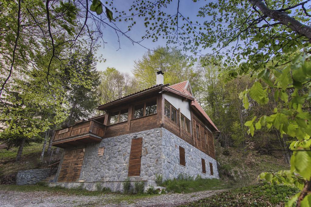 Guesthouse Sejn Копаоник Экстерьер фото